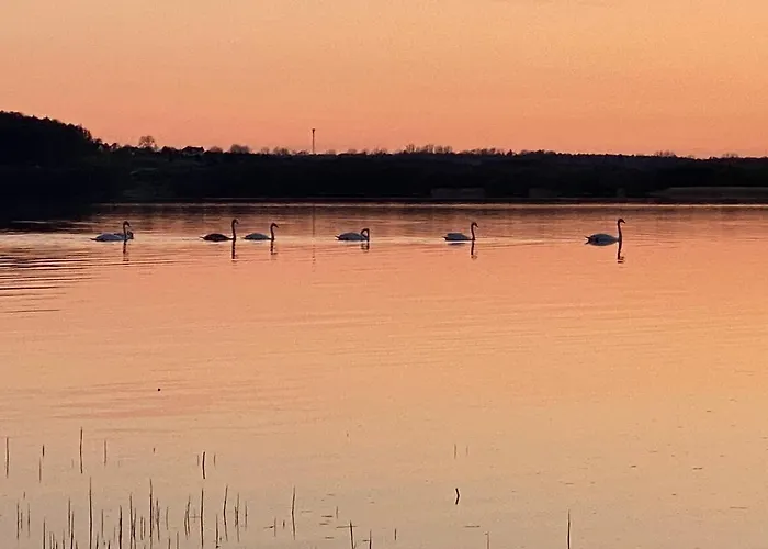Marina Dom Czarna Perla Lubkowo