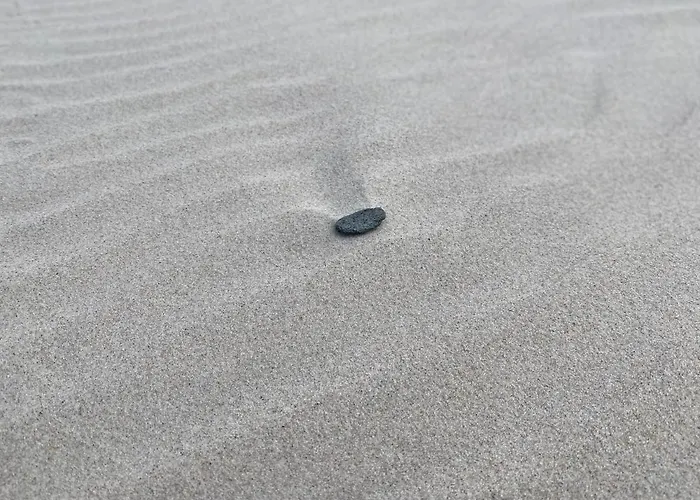 Marina Dom Czarna Perla Σπίτι διακοπών Lubkowo