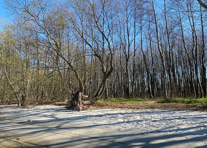 Marina Dom Czarna Perla Lubkowo