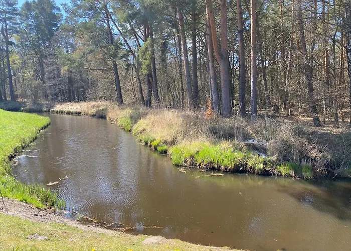Marina Dom Czarna Perla * Lubkowo